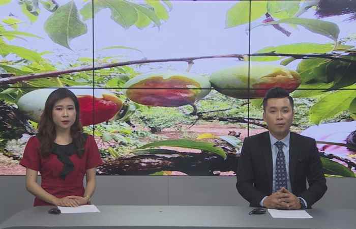 Miền tây 24h 08-05-2019