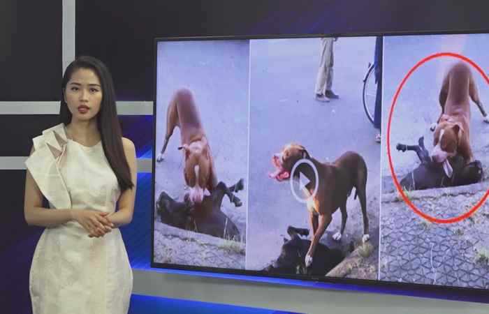 Miền tây 24h (09-05-2020)