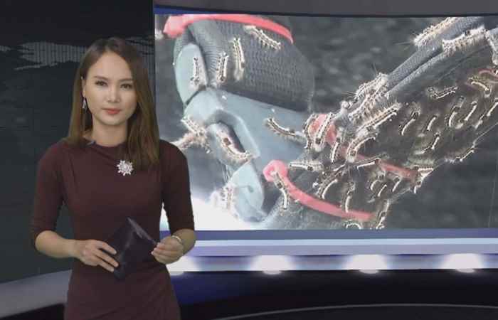 Miền tây 24h 10-01-2019