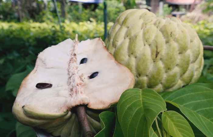 Miền tây 24h 10-06-2019