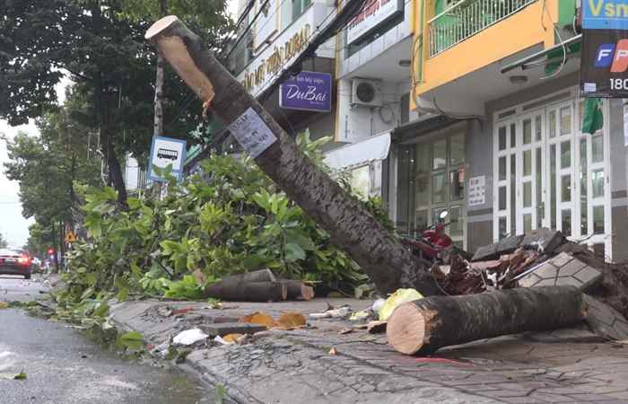 Miền tây 24h 12-06-2020