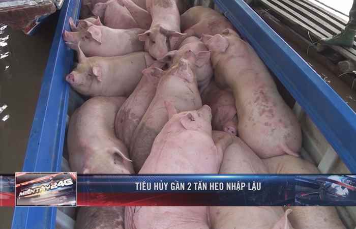 Miền tây 24h 12-11-2019
