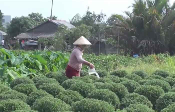 Miền tây 24h 14-12-2019