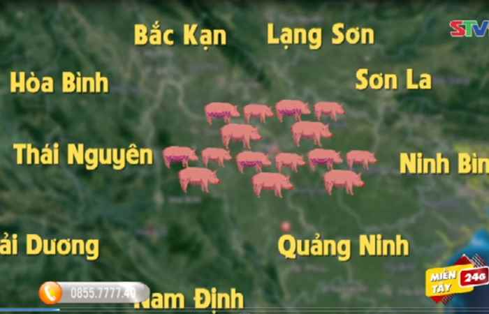 Miền tây 24h 15-03-2019