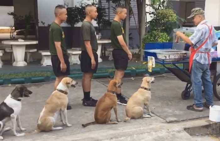 Miền tây 24h 16-02-2019