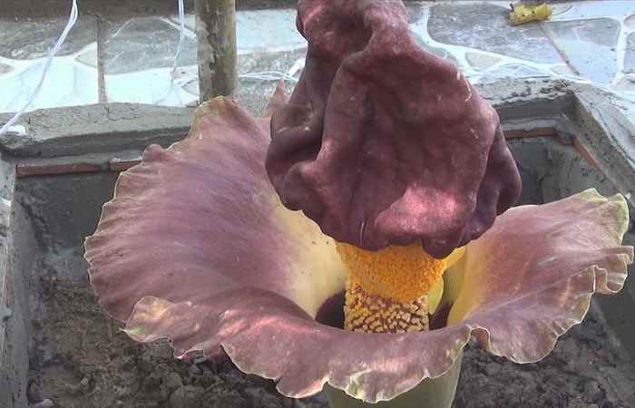 Miền tây 24h 18-05-2019