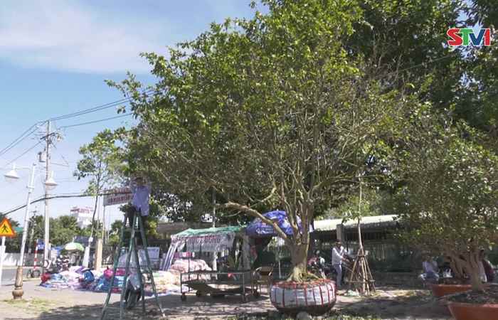 Miền tây 24h 22-01-2019