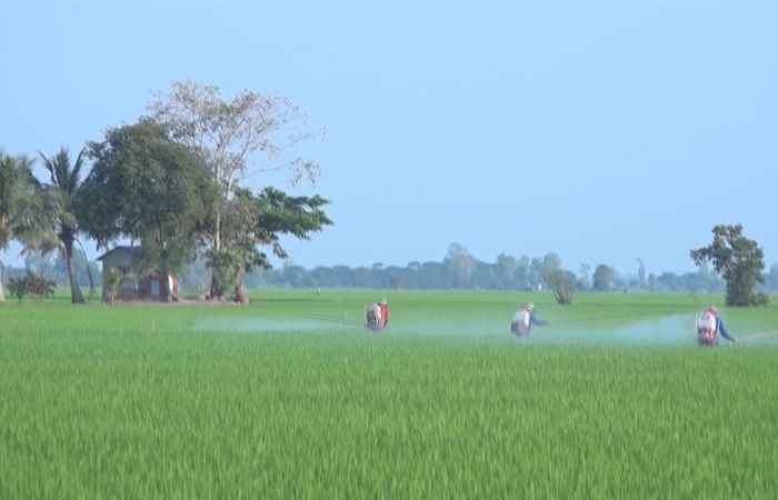 Miền tây 24h (23-04-2020)