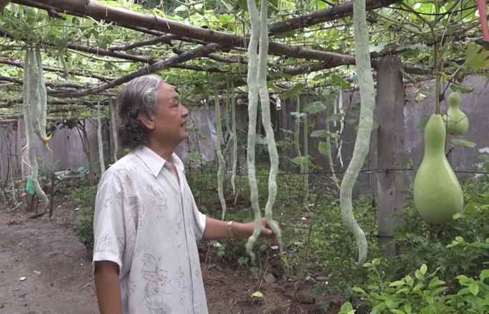 Miền tây 24h 23-06-2020