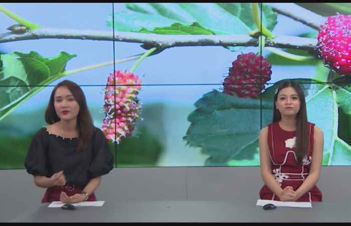 Miền tây 24h (23-10-2019)
