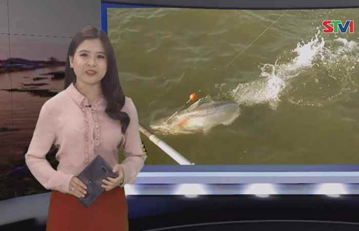 Miền tây 24h 25-01-2019