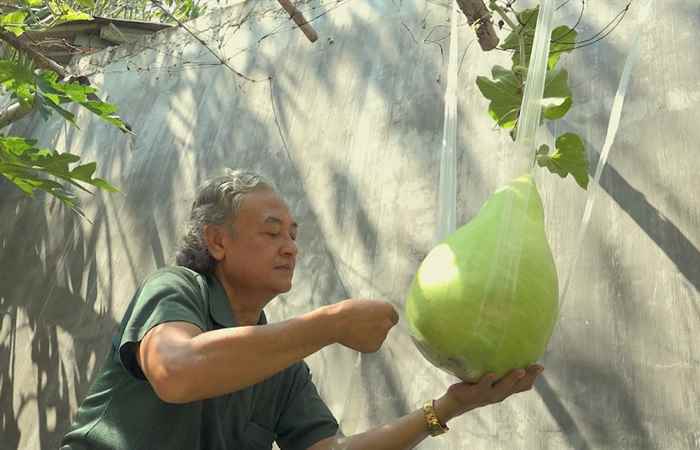 Miền tây 24h 25-02-2020