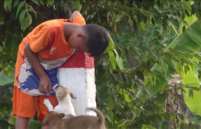 Miền tây 24h 27-04-2020