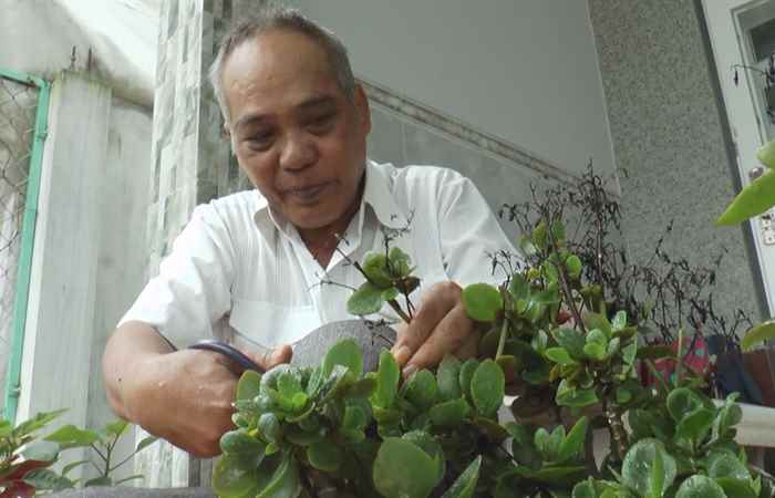 Miền tây 24h (27-07-2020)