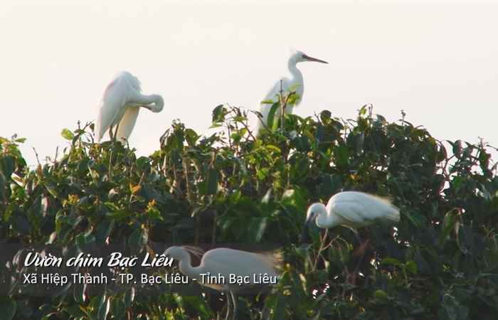Miền tây 360 - Các đặc điểm thú vị tại Bạc Liêu 03-07-2017