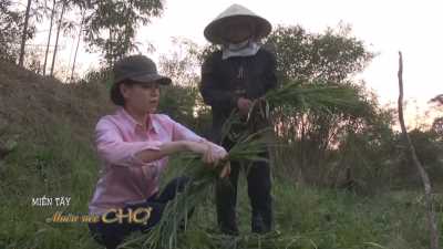 Miền tây muôn nẻo chợ-Chợ cỏ 03-05-2016
