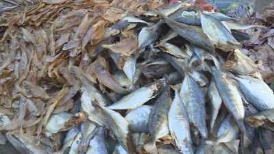 Miền tây muôn nẻo chợ-Độc đáo chợ phiên thứ 3 06-01-2016