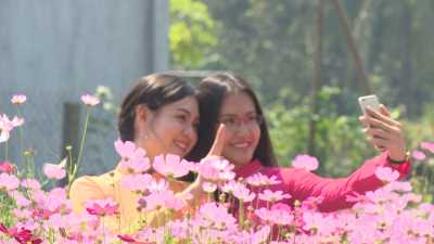 Miền tây muôn nỏe chợ - Làng hoa Sa Đéc vào xuân 10-02-2016