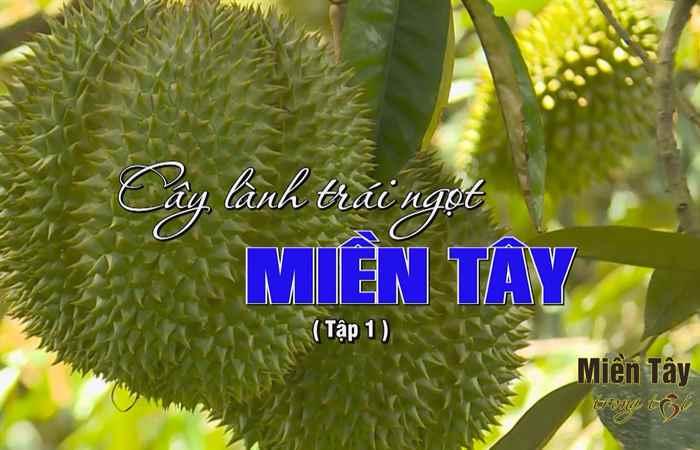 Miền tây trong tôi 03-07-2018