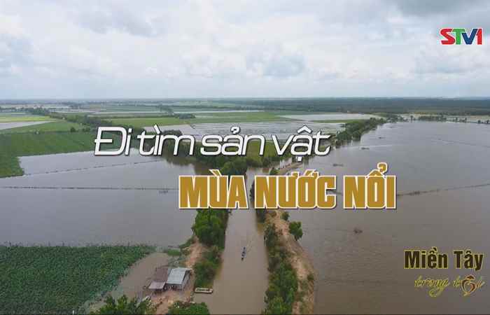 Miền tây trong tôi 03-09-2018
