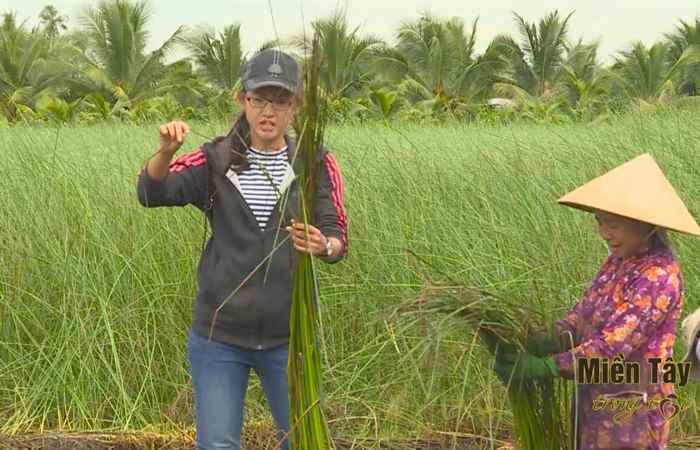 Miền tây trong tôi 24-10-2017