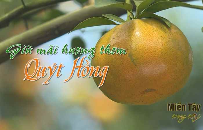 Miền tây trong tôi 30-01-2018