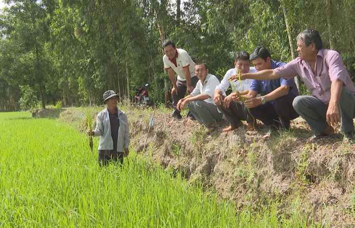 Mô hình HTX trong cơ cấu lại Ngành Nông nghiệp và xây dựng Nông thôn mới (25-06-2024)