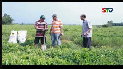 Một ngày làm Nông 09-01-2016