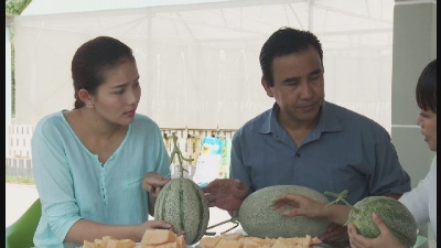 Một ngày làm Nông Trồng dưa lưới 05-12-2015