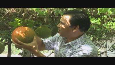 Một ngày làm Nông-Trồng gấc 02-01-2016