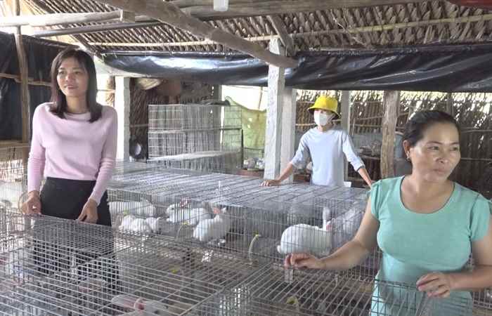 Mỹ Xuyên giải thể 13 Hợp tác xã, Tổ hợp tác hoạt động kém hiệu quả