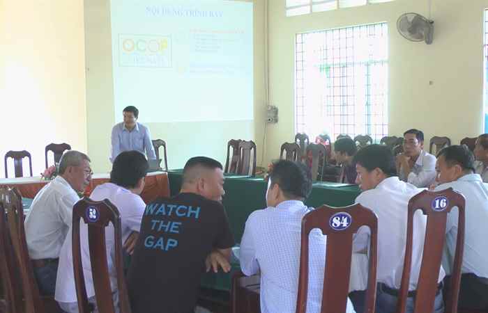 Mỹ Xuyên: Chi cục phát triển nông thôn tỉnh hướng dẫn tham gia, đánh giá xếp hạng OCOP 