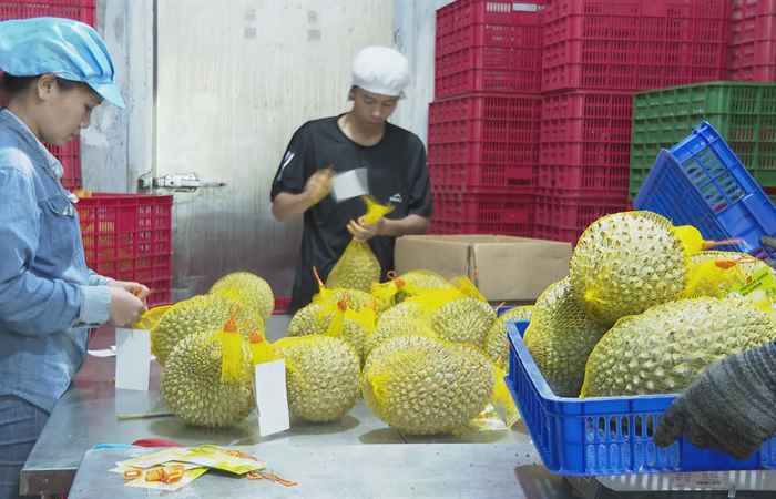 Nâng cao giá trị gia tăng cho sản phẩm nông nghiệp (22-08-2023)