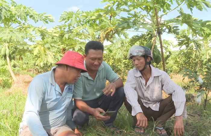 Nông dân nâng cao kiến thức sản xuất nông nghiệp thông qua mạng xã hội (15-11-2023)