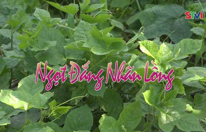 Nét Việt 02-05-2017
