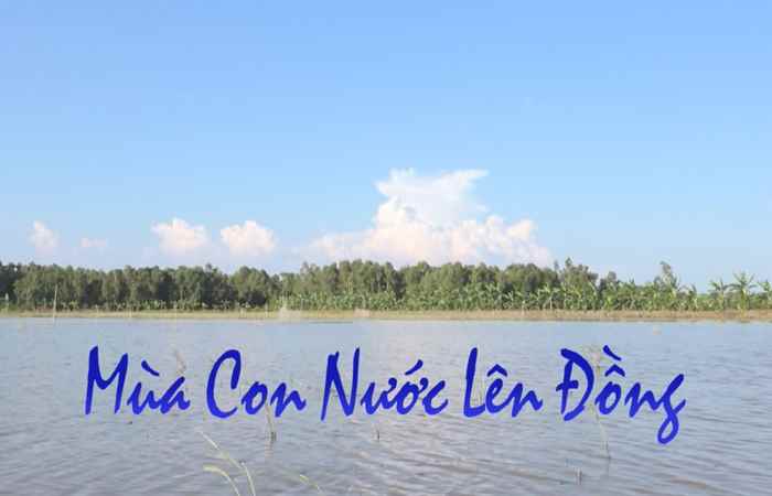 Nét Việt 05-05-2017