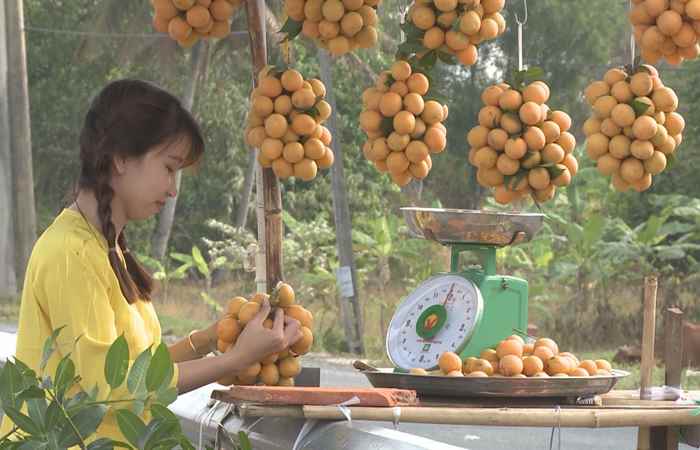 Nét Việt 06-12-2017