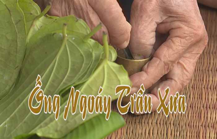 Nét Việt 09-05-2017