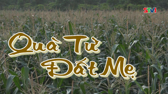 Nét Việt - Quà từ đất mẹ 27-09-2016