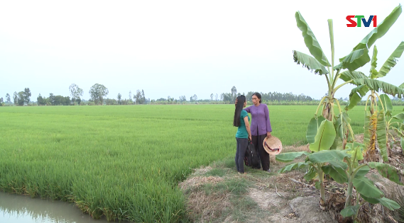 Nét Việt - Ngày em xa quê 05-11-2016