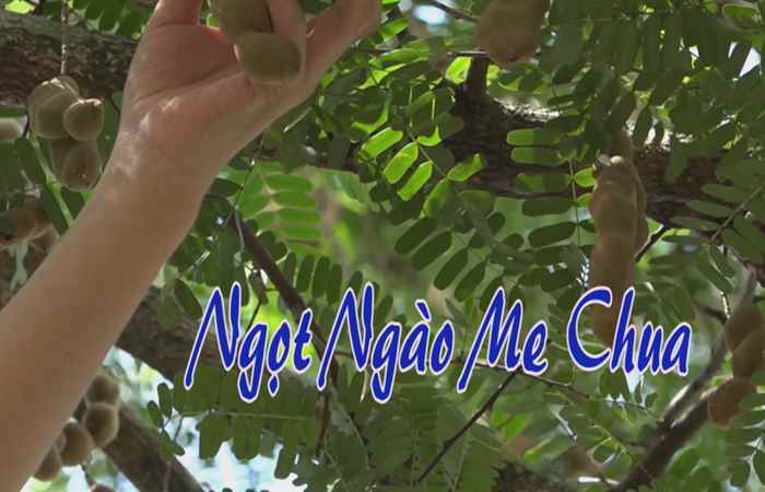 Nét Việt 22-05-2017
