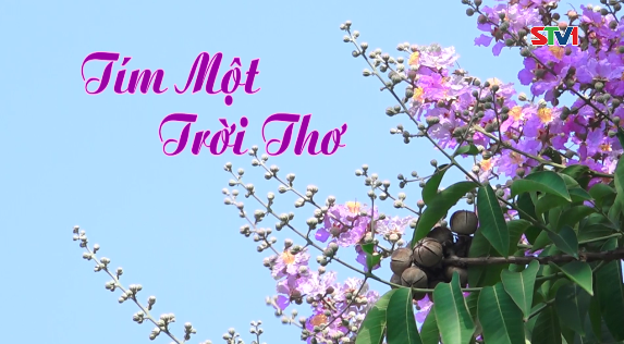 Nét Việt 20-12-2016