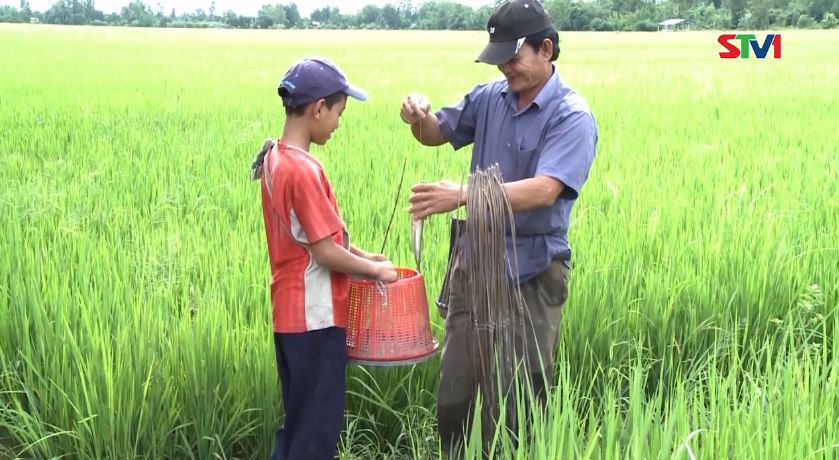 Nét Việt -Thà cho cái Cần câu 18-03-2017
