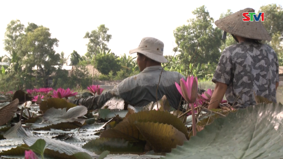 Nét Việt - Ký ức Súng đồng 09-07-2016