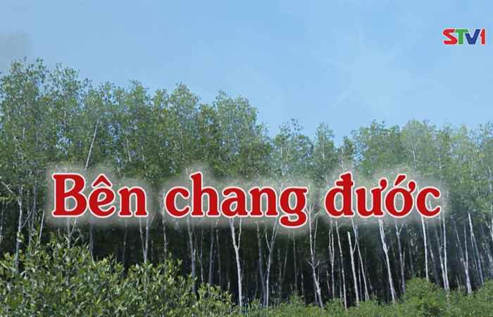 Nét Việt - Bên chang đước 06-08-2017