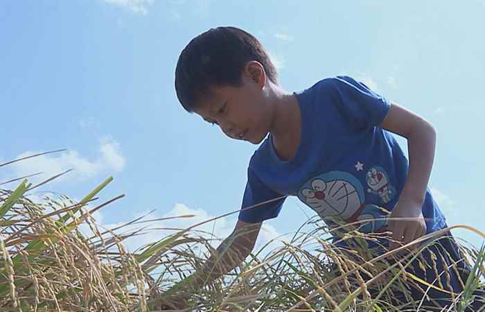 Nét Việt - Bên gốc me xưa 05-09-2017