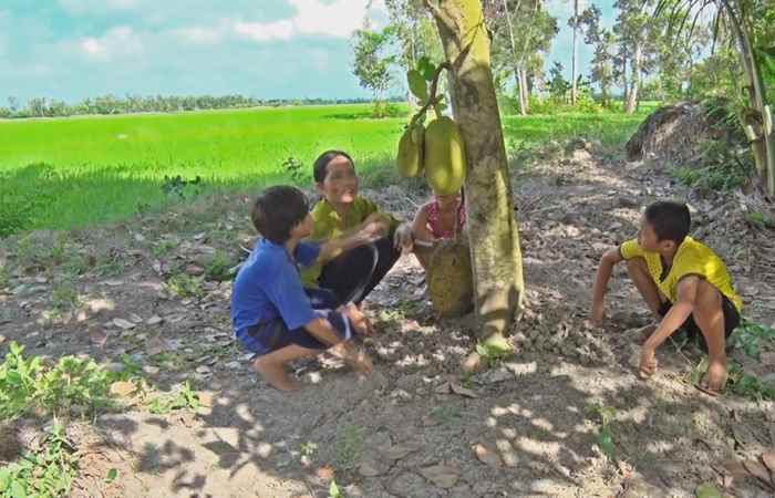 Nét Việt - Cây mít sau nhà 03-06-2017