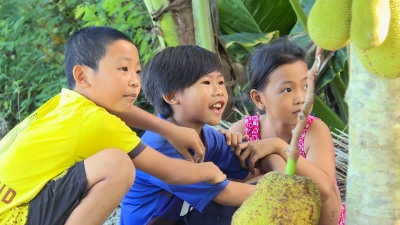 Nét Việt-Cây mít sau nhà 19-06-2016