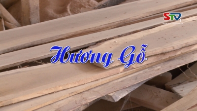 Nét Việt - Hương gỗ 25-05-2016