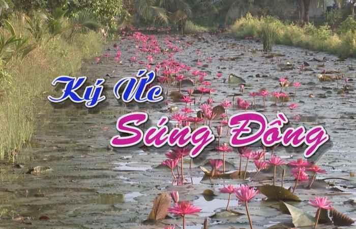 Nét Việt - Ký ức Súng đồng 22-06-2017